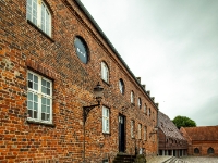 Ribe